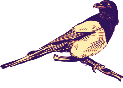 One for Sorrow.